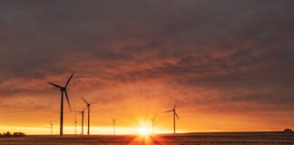 Para una transición ecológica socialista