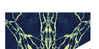 Psicosis lúcida: un ensayo personal sobre el horror psiquiátrico