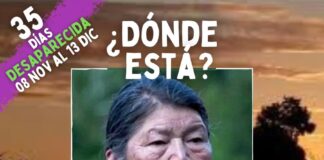 La desaparición de Julia Chuñil en medio de una trama oculta de CONADI y empresario forestal