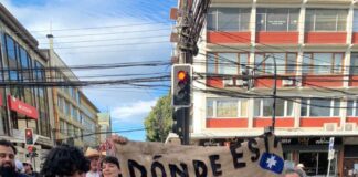 Llega a La Moneda y en todo Chile el clamor por Julia Chuñil