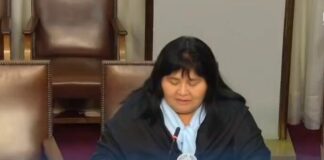 Diputada Emilia Nuyado exige a Ministerios de Agricultura y Hacienda transparencia y devolución íntegra de millonarios recortes a Programas de Pueblos Originarios y pequeña agricultura