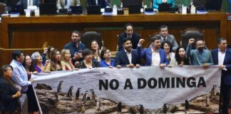 53 parlamentarios y parlamentarias rechazan proyecto Dominga y alertan sobre graves riesgos ambientales