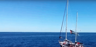 Criminalizar la ayuda humanitaria: lo que revela la detención de Greta Thunberg