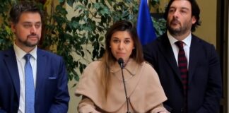 “Operación Jara”: Diputada Cicardini acusa estrategia atribuida a tuitero para mermar candidatura presidencial