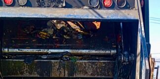 Día de las y los Recolectores de residuos domiciliarios: una labor esencial