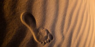 Suicidio masculino: Machos hasta en la forma de matarnos