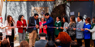 Asistencia en Educación Parvularia en alza: julio 2025 alcanzó su mejor resultado en los últimos cinco años