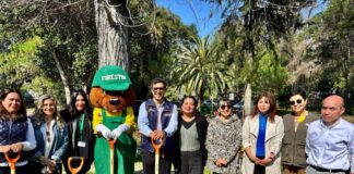 Recoleta anuncia el primer BioCementerio público de Latinoamérica