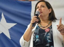 Paulina Vodanovic, candidata a la reelección por El Maule: “A las mujeres en política se nos mide con una vara distinta”