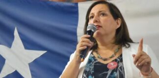 Paulina Vodanovic, candidata a la reelección por El Maule: “A las mujeres en política se nos mide con una vara distinta”