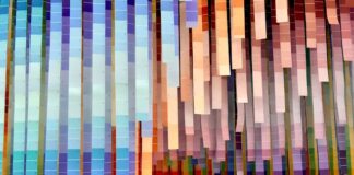 Diversidad e Inclusión que Dialogan: Aportes desde las Universidades Regionales