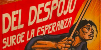 Nuevo libro “Del despojo surge la esperanza” releva las historias de vida de mujeres sindicalistas de La Araucanía