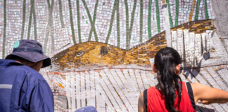 Cuando la pared se vuelve paisaje: inauguran mural en mosaico sobre la flora y fauna del Mallolafken en Villarrica
