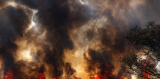 MOP informa estado de la infraestructura pública en Ñuble y Biobío