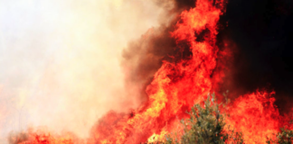 Ministra MOP informa estado de las afectaciones a la infraestructura pública por incendios en Ñuble y Biobío