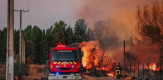 Incendios y modelo forestal: ¿dónde quedó el gobierno ecologista de Gabriel Boric?