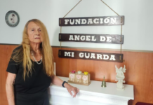 Presentan recurso de protección en favor de la socióloga y criminóloga Doris Cooper, declarada interdicta, confinada e incomunicada en asilo de ancianos