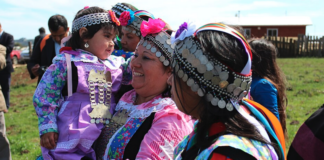 La plurinacionalidad negada por el gobierno de Gabriel Boric