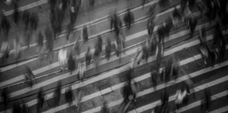 Gobernar una sociedad cansada: Alienación, tecnocracia y el vaciamiento silencioso de la democracia chilena