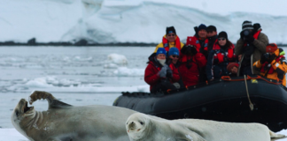 Geopolítica del turismo, el capital y la Antártica: desafíos del aquí y el ahora