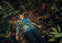 Exposición «Fungi Cosmology»: procesos vivos entre arte, ciencia y naturaleza