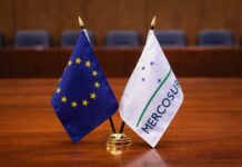 Mercosur-UE: hechos y señales