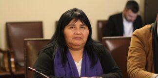 Diputada Emilia Nuyado y alza histórica de los combustibles: “Una mala determinación que perjudica a emprendedoras, el transporte, Pymes y familias de todo el país”