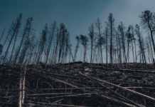 El Fascismo chileno actual y su guerra contra el Medio Ambiente