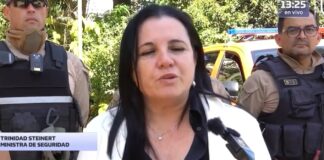 Lobos que dificultan a Caperucita: el caso del despido de la prefecta de la PDI, Consuelo Peña