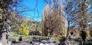 Violento desalojo a Lob Rgaliko en Alto Biobío: Acusan al Estado chileno de crimen de lesa humanidad tras desalojo incendiario