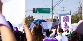 Julieta Kirkwood y la militancia socialista: El hilo lila que tejió nuestra democracia