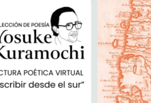 Poetas desde La Araucanía hasta Magallanes se reunirán en lectura de poesía online