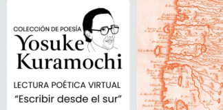 Poetas desde La Araucanía hasta Magallanes se reunirán en lectura de poesía online