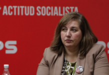 Senadora Paulina Vodanovic tilda de “máxima gravedad” supuesto plan de atentado contra el alcalde Christopher White