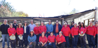 CONAF y Municipios fortalecen trabajo colaborativo en viveros de Palmilla y Lolol