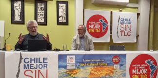 José Gabriel Palma y el seguro fracaso de Kast