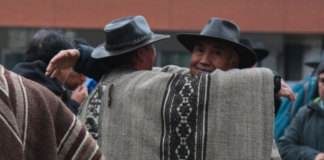 Wiñon Antü: más allá del “Año Nuevo Mapuche”, una invitación a comprender otra forma de habitar el mundo