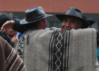 Wiñon Antü: más allá del “Año Nuevo Mapuche”, una invitación a comprender otra forma de habitar el mundo