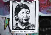 Es We Xipantu y Julia Chuñil continúa desaparecida