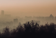 Investigadores chilenos revelan cómo la contaminación ambiental altera el sueño y gatilla enfermedades crónicas