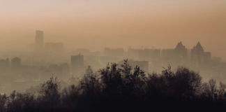Investigadores chilenos revelan cómo la contaminación ambiental altera el sueño y gatilla enfermedades crónicas