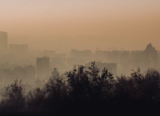 Investigadores chilenos revelan cómo la contaminación ambiental altera el sueño y gatilla enfermedades crónicas