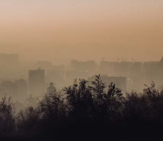 Médicos e Investigadores de Chile, Brasil e Italia expondrán cómo la contaminación del aire altera el sueño y gatilla enfermedades crónicas