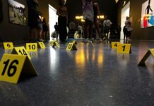 Entre la calle y el tablero financiero: crimen organizado, mano dura sin billetera fiscal y amenaza democrática en Chile.