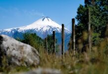 Cambio climático, Ley indígena, educación intercultural