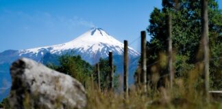 Cambio climático, Ley indígena, educación intercultural