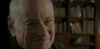 Edgar Morin y el pensamiento complejo frente a la fragmentación mundial