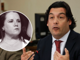 Diputados y diputadas aprueban comisión investigadora por caso de exministra Steinert