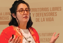 Mariana Fernández: «Pensar en sociedades desmilitarizadas que cuidan en vez de controlar»