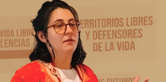 Mariana Fernández: «Pensar en sociedades desmilitarizadas que cuidan en vez de controlar»